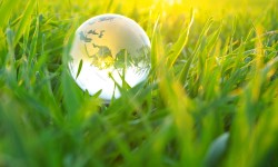 Manage Your Own Content